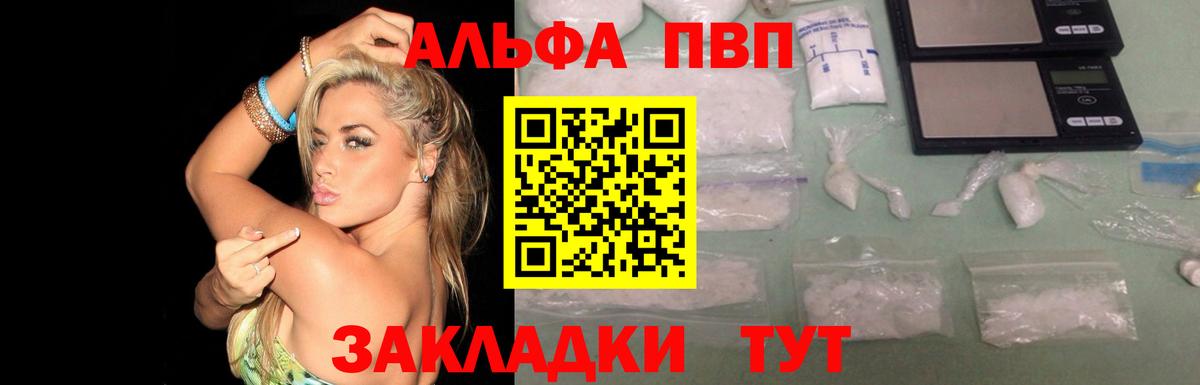 Alpha-PVP мука  Вход с VPN  Карачаевск  купить наркотик  Альфа ПВП кристаллы  Alpha-PVP крисы CK 