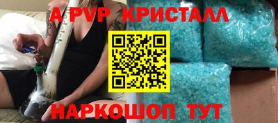 спиды Донской