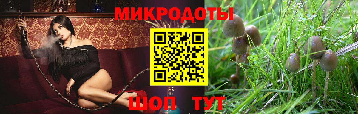 Галлюциногенные грибы мухоморы Карачаевск