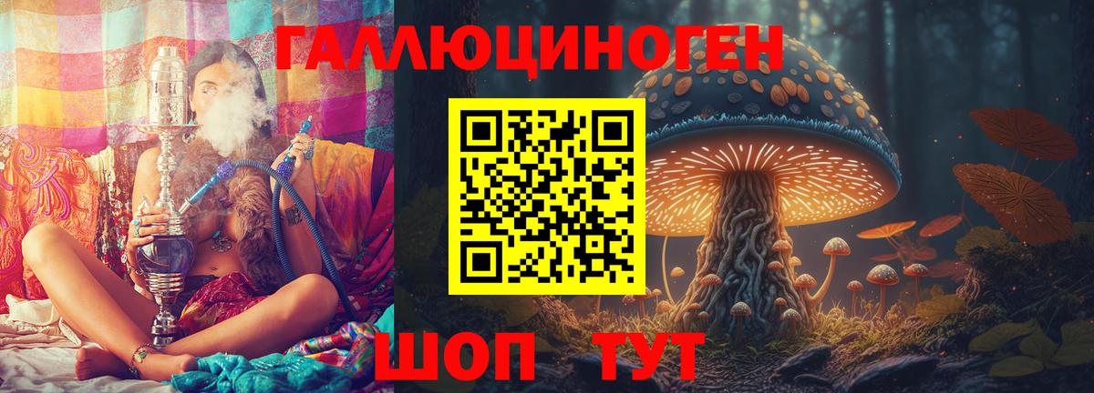 Карачаевск  Галлюциногенные грибы Psilocybine cubensis  Вход с VPN 